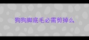 狗狗脚底毛必需剪掉么