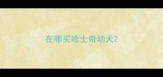 在哪买哈士奇幼犬