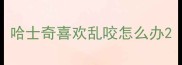 哈士奇喜欢乱咬怎么办