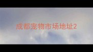 成都宠物市场地址