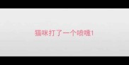猫咪打了一个喷嚏