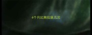 4个月比熊拉屎几次
