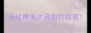 小比熊多大开始打疫苗