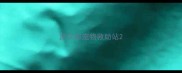 武汉市宠物救助站