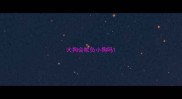大狗会欺负小狗吗