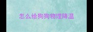 怎么给狗狗物理降温