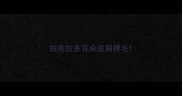 拉布拉多耳朵皮屑掉毛