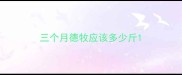 三个月德牧应该多少斤
