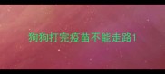 狗狗打完疫苗不能走路