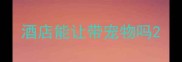 酒店能让带宠物吗