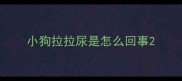 小狗拉拉尿是怎么回事