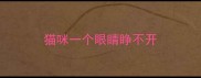 猫咪一个眼睛睁不开