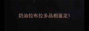 奶油拉布拉多品相鉴定