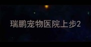 瑞鹏宠物医院上步