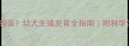 小狗没有狗蛋幼犬生殖发育全指南附科学饲养方案