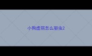 小狗虚弱怎么驱虫