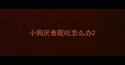 小狗厌食呕吐怎么办