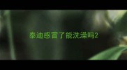 泰迪感冒了能洗澡吗