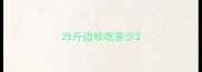 25斤边牧吃多少
