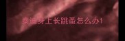 泰迪身上长跳蚤怎么办