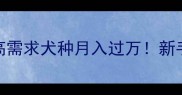 宠物狗创业指南5种高需求犬种月入过万新手必看低门槛赚钱攻略