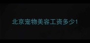 北京宠物美容工资多少