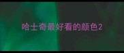 哈士奇最好看的颜色