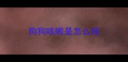狗狗咳嗽是怎么咳