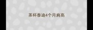茶杯泰迪4个月肩高