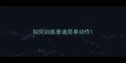 如何训练泰迪简单动作
