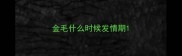 金毛什么时候发情期