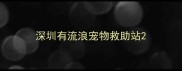 深圳有流浪宠物救助站
