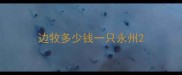 边牧多少钱一只永州