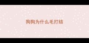 狗狗为什么毛打结