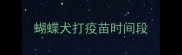 蝴蝶犬打疫苗时间段