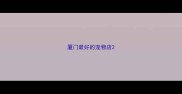 厦门最好的宠物店