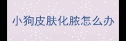 小狗皮肤化脓怎么办