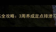 新手必看幼猫如厕训练全攻略3周养成定点排泄习惯告别猫砂盆烦恼