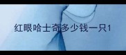 红眼哈士奇多少钱一只