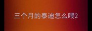 三个月的泰迪怎么喂