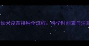 比熊犬幼犬疫苗接种全流程科学时间表与注意事项