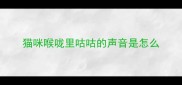 猫咪喉咙里咕咕的声音是怎么