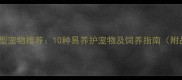 家庭友好小型宠物推荐10种易养护宠物及饲养指南附品种对比