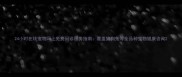 24小时在线宠物网上免费问诊服务指南覆盖猫狗兔等全品种宠物健康咨询