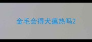金毛会得犬瘟热吗