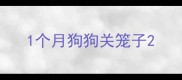 1个月狗狗关笼子