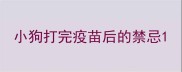 小狗打完疫苗后的禁忌