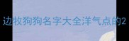 边牧狗狗名字大全洋气点的