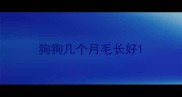 狗狗几个月毛长好