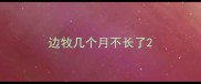 边牧几个月不长了